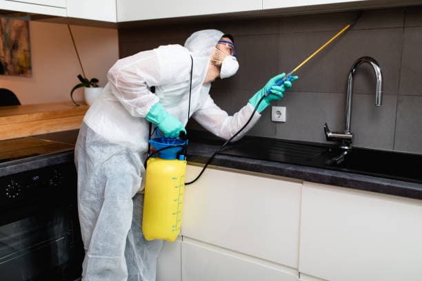Professioneller Einsatz in einem Wohnraum zur Bekämpfung von Ungeziefer mit Fokus auf Hygiene, Sicherheit und nachhaltige Reinigung.