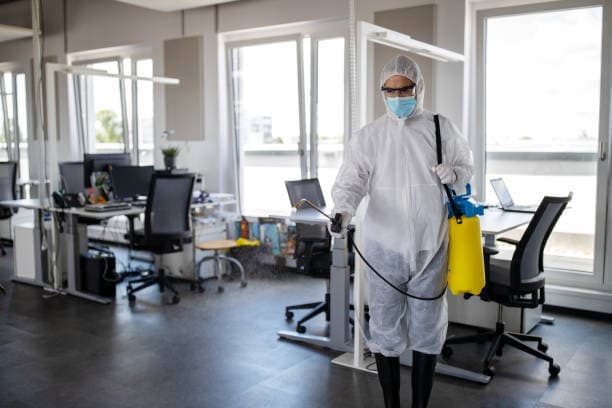 Fachkraft für Schädlingskontrolle arbeitet sorgfältig in einer sauberen Wohnung und setzt moderne Methoden zur Entfernung von Insekten ein.